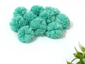 Pompom malha-2,5cm-Turquesa
10unid