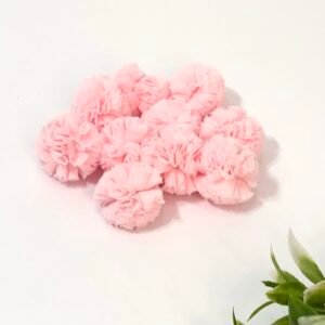 Pompom malha-2,5cm-Rosa bebê 
10unid