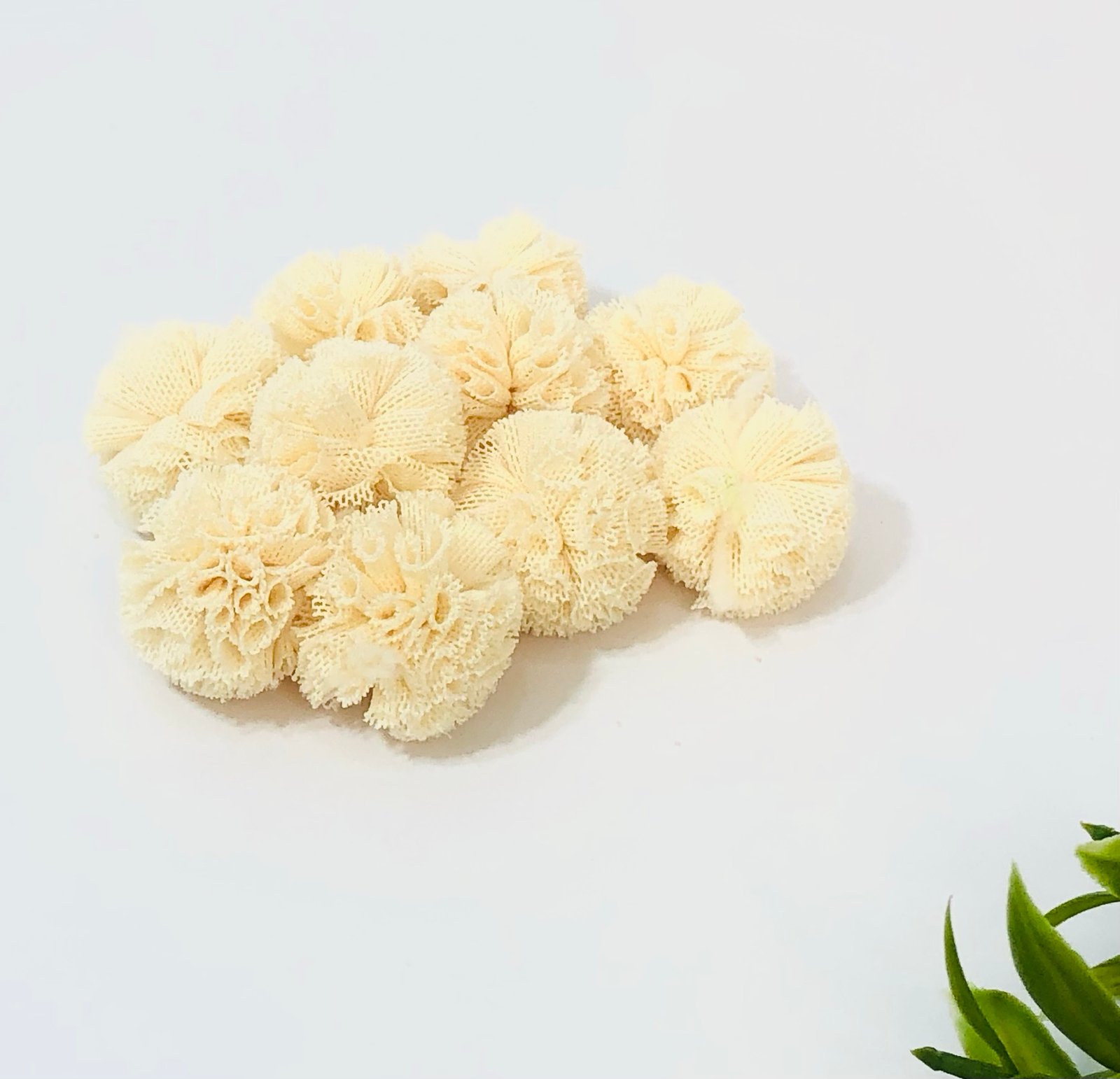 Pompom malha-2,5cm-Creme 
10unid
