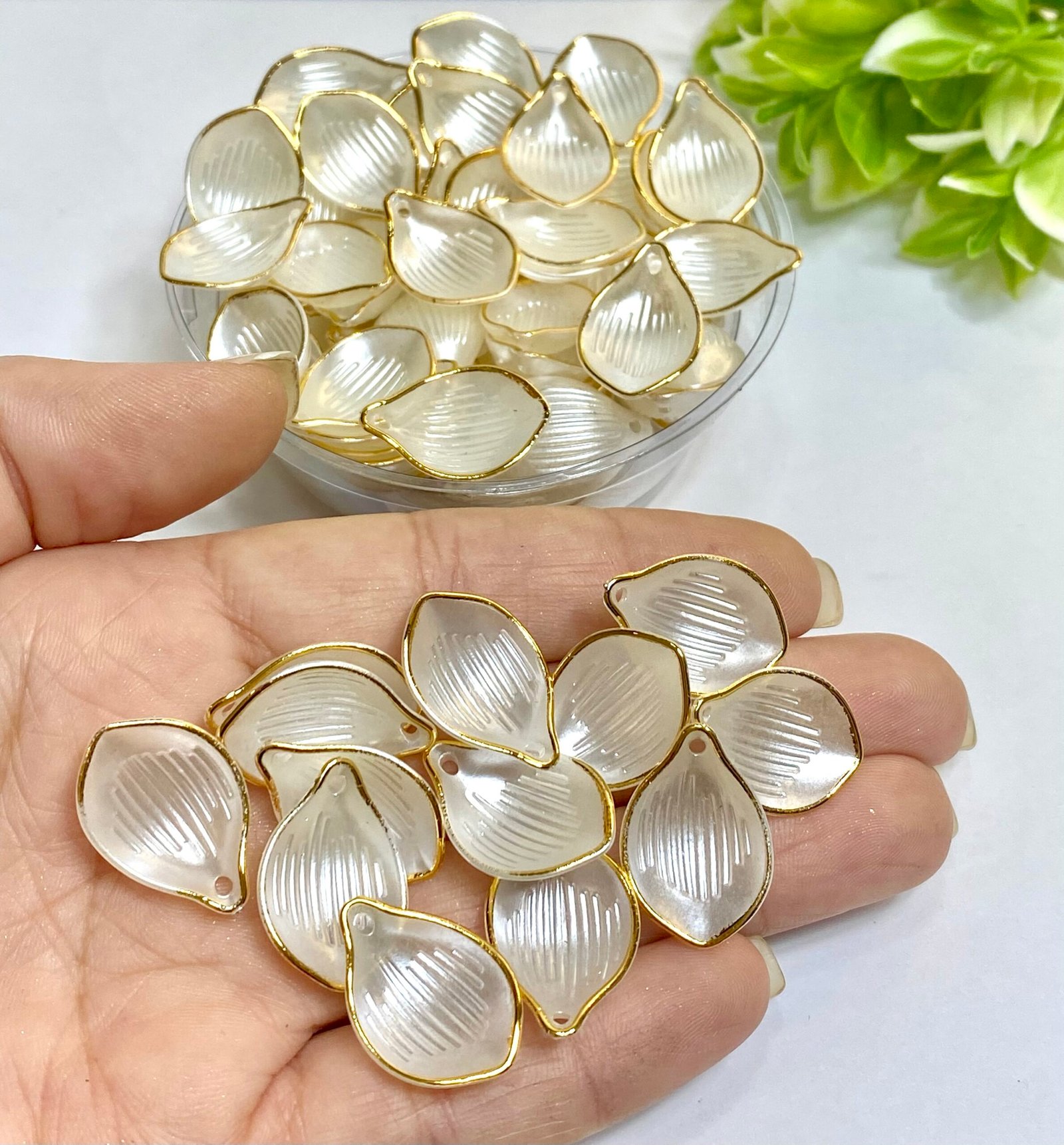 Pétala acrílica - 16x23 - 10unid