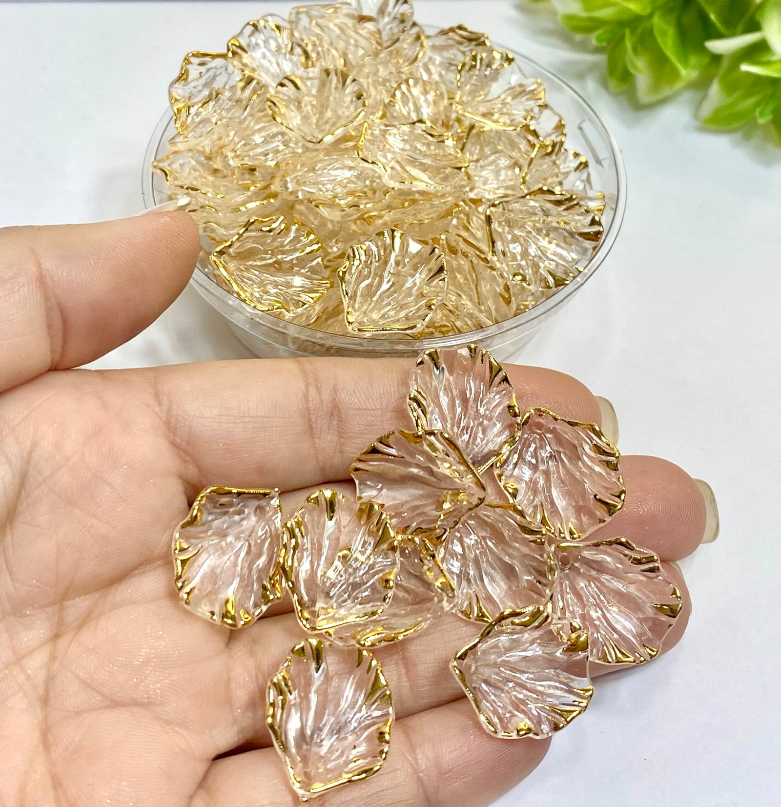 Pétala acrílica - 17x19mm - 10unid