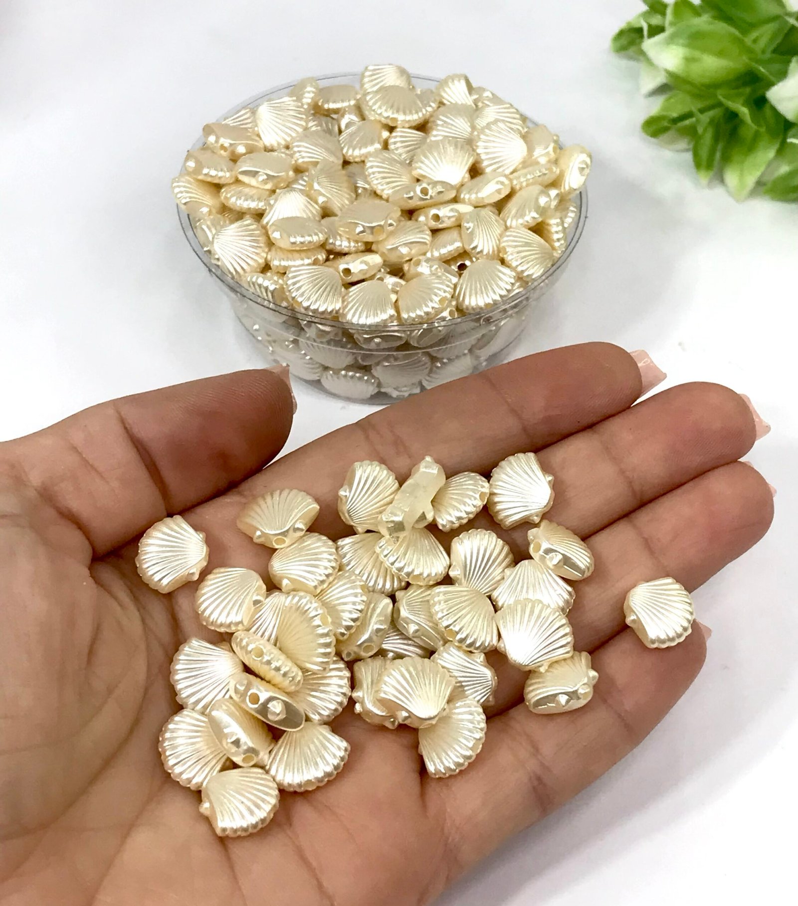 Concha 10mm 3236/15gr (40unid)